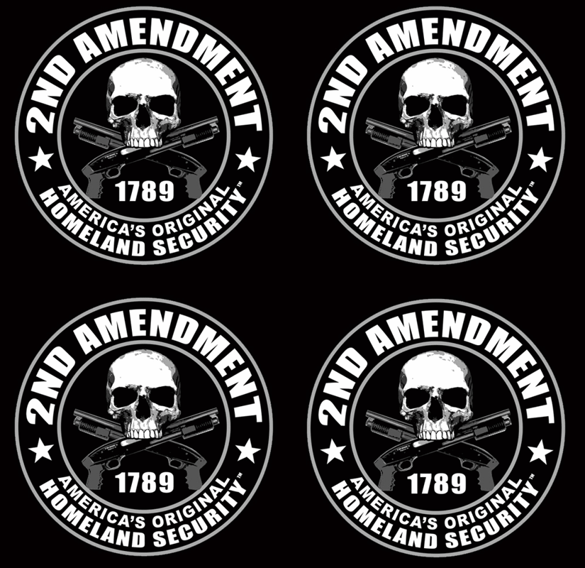 Lot Of Homeland Security 2nd Amendment Skull 4 Pc Sticker Decal